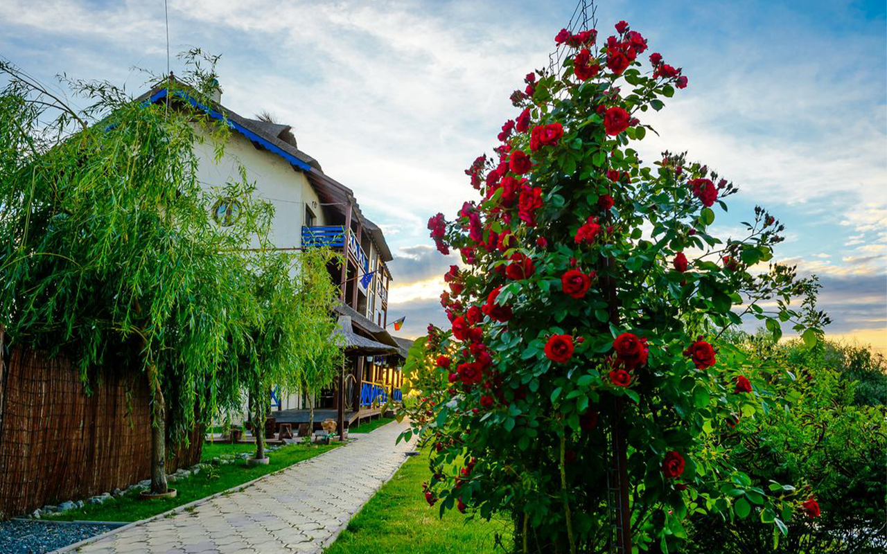 (P) De ce turiștii străini iubesc Delta Dunării și noi abia o descoperim