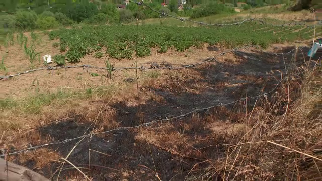 Un bărbat din Cluj a murit după ce a fost prins de flăcări în timp ce incendia vegetație uscată