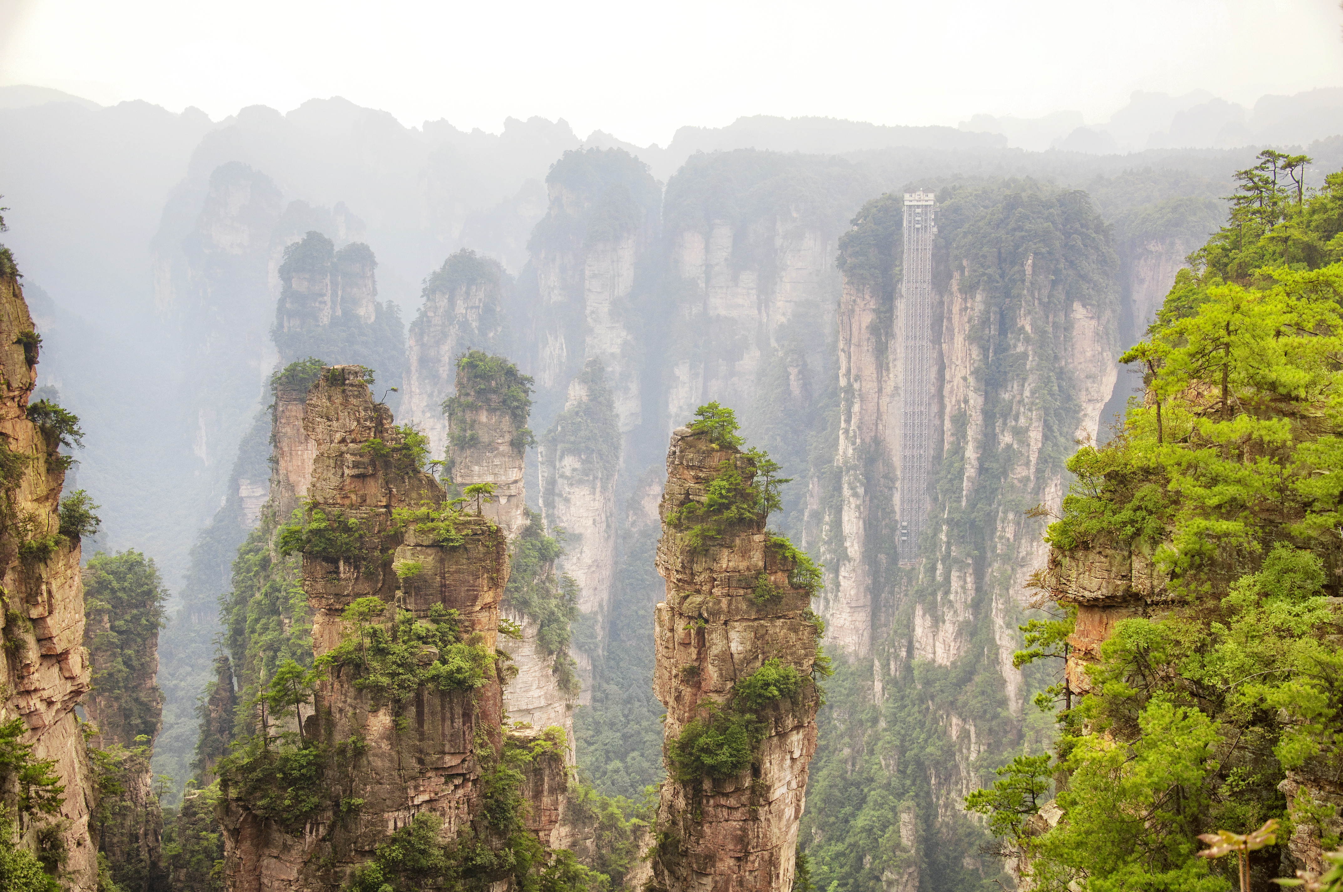 Parcul Forestier Zhangjiajie