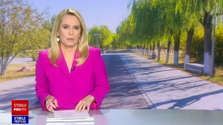 „Explozie” de insecte în mai multe orașe din țară și în Capitală. Biologii au explicat ce a provocat fenomenul