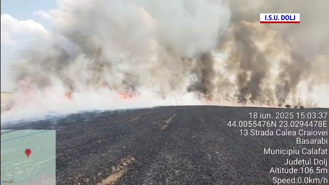 Incendiu de proporții într-o comună din județul Dolj. Zeci de hectare au fost complet distruse. Care a fost cauza