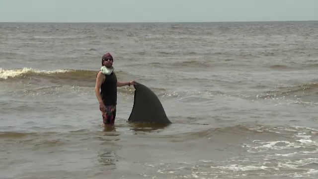 Cum s-a transformat o campanie de promovare a unei cărți într-o sperietură colectivă. Oamenii au chemat autoritățile