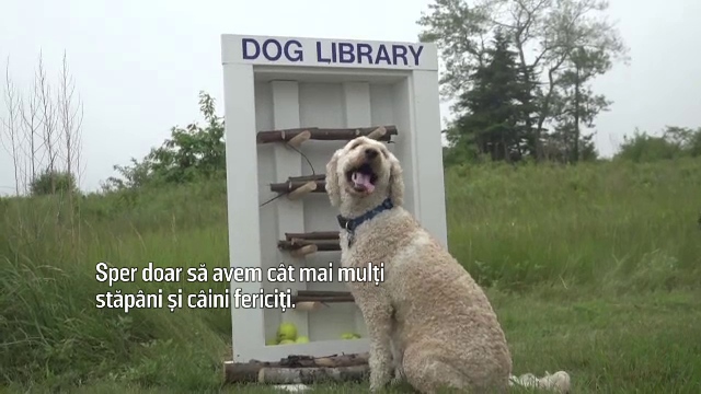 Un oraș din SUA a creat o bibliotecă pentru câini. Locul de joacă a devenit viral și aduce bucurie patrupezilor