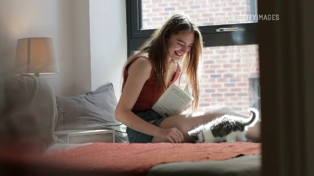 Proprietarii români de case fug de chiriașii cu animale de companie. Soluția pentru cei care caută locuințe pet friendly