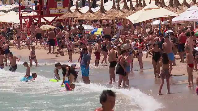 Val de amenzi date de ANPC la mai multe localuri de pe litoral. Un restaurant era plin de pânze dense de paianjăn