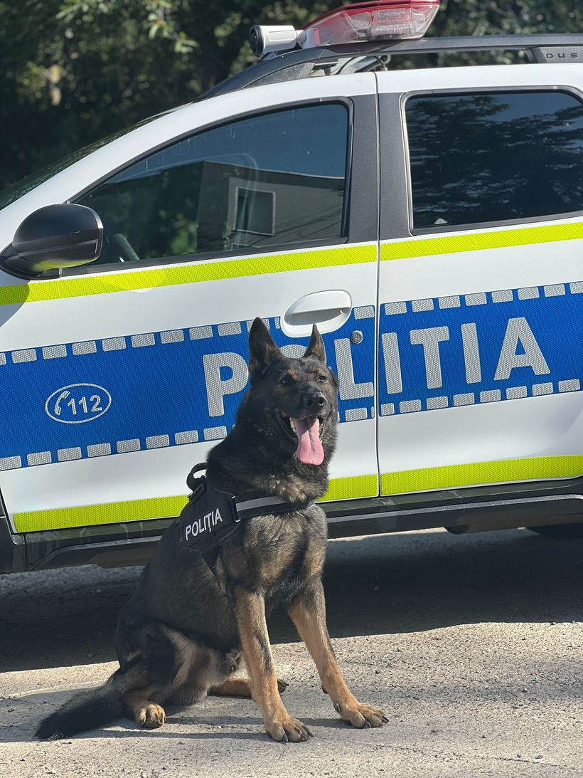 Doi bărbați au jefuit un vecin din Neamț și i-au luat portofelul în care avea 4.000 de euro. Cum au fost prinși