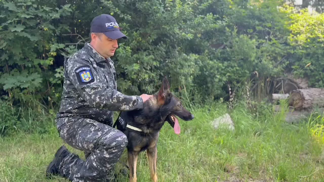 Cum a ajutat un câine polițist la soluționarea unui caz din Neamț. Eroul patruped nu a putut fi păcălit de hoți
