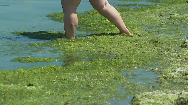 „Explozie” de alge pe plajele din Mamaia și Constanța. Turiștii sunt dezgustați: „Mi-e și scârbă să intru în mare"