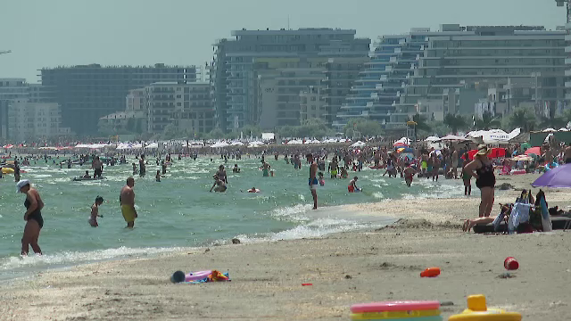 „Pișcă, pișcă”. Invazia care a acaparat litoralul românesc din cauza caniculei. Turiștii sunt exasperați