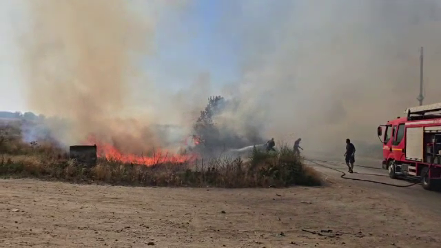 Incendiu puternic de vegetație la marginea Craiovei. A fost emis mesaj RO-Alert din cauza fumului gros. „Irespirabil”