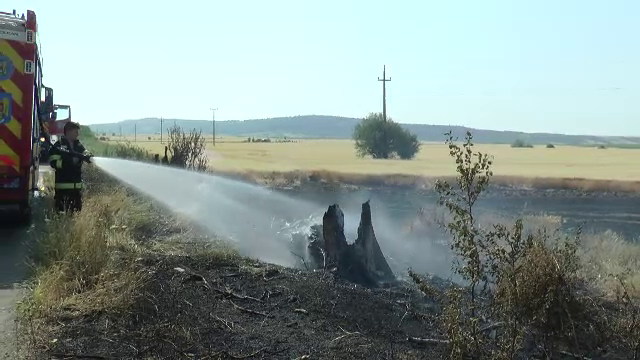 Incendii de vegetație în toată țara. Pompierii le transmit oamenilor ce nu au voie să facă