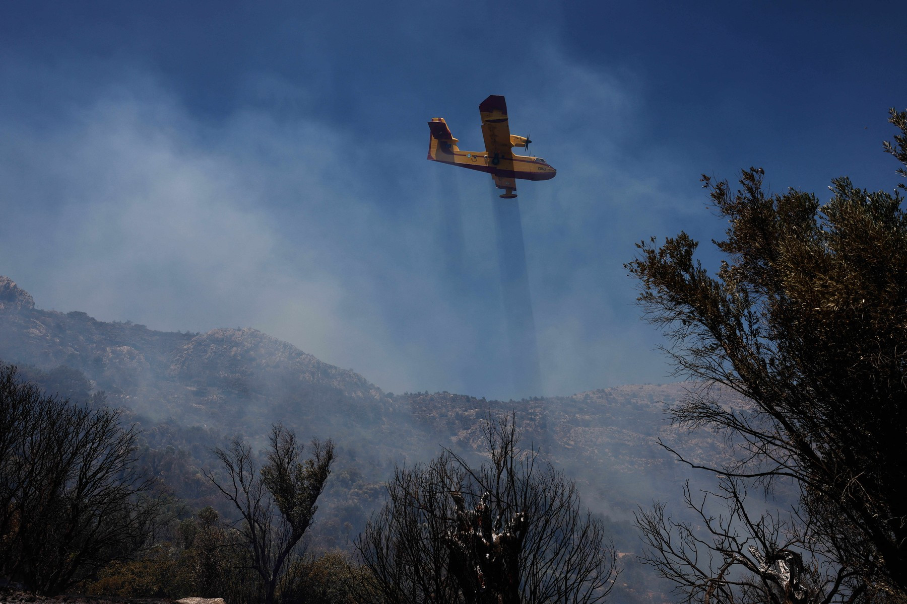 Incendii violente de vegetație devastează sudul Atenei. Riscul de izbucnire a noi focare rămâne ridicat. GALERIE FOTO