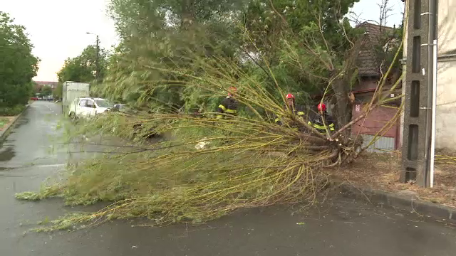 Meteorologii au anunțat Cod galben și portocaliu de vreme rea pentru mai multe zone din țară. Două județe, grav afectate