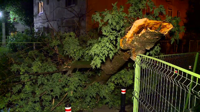 Vijeliile au lovit România. Copaci rupți, mașini avariate și zboruri întârziate din cauza furtunilor violente