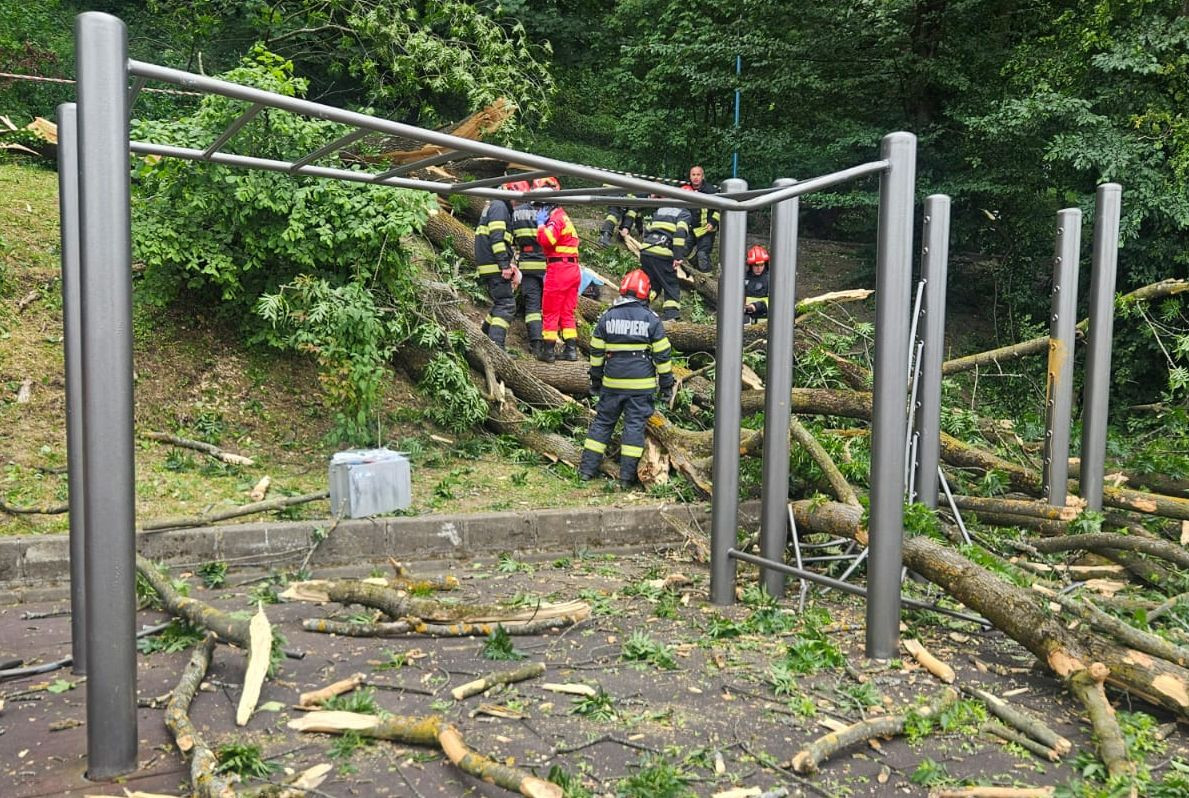 Copacul care a căzut peste un tânăr pe aleea de sub Tâmpa era verde. Reprezentantul Primăriei: „S-a dezrădăcinat”