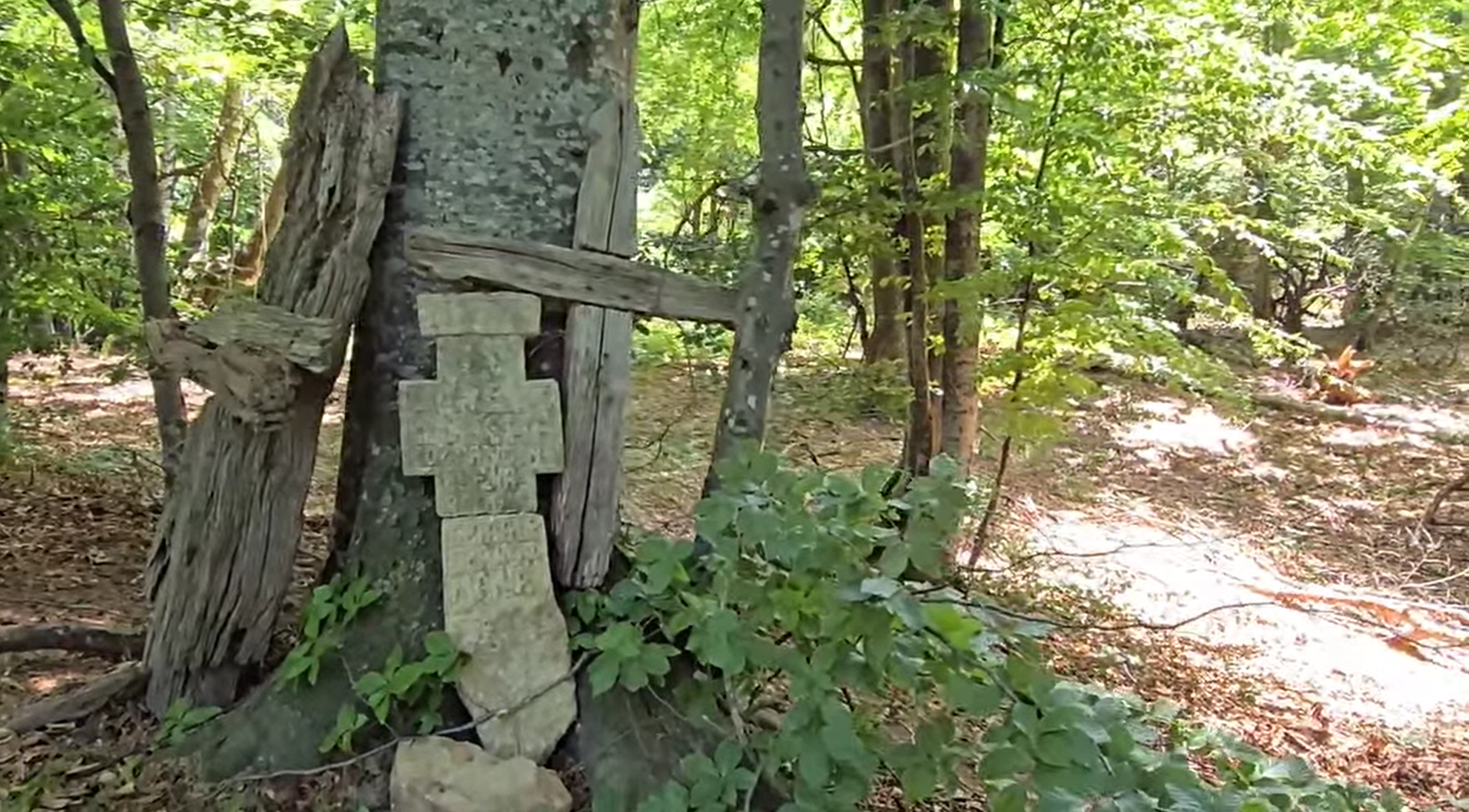 Ce au descoperit localnicii într-o pădure din Buzău. „Cine le-o fi ridicat acolo”