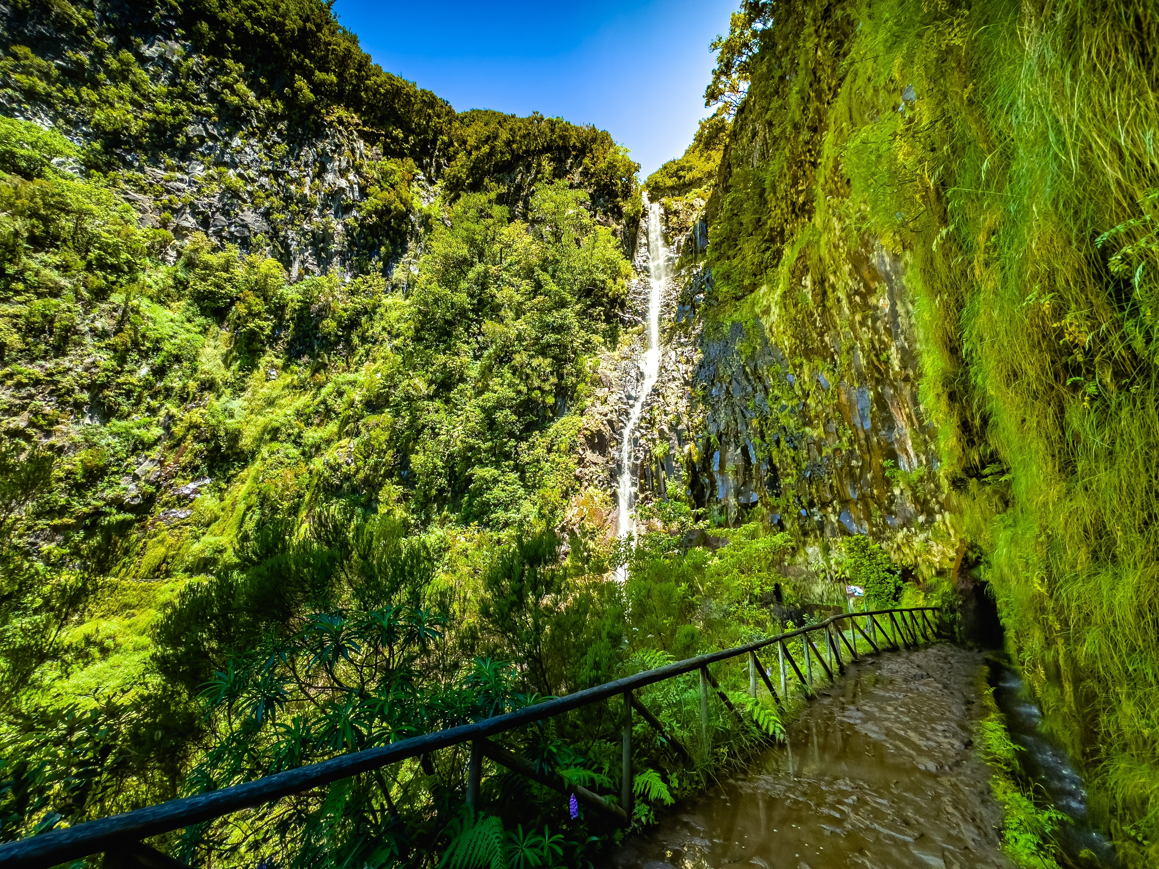 Levada - Madeira