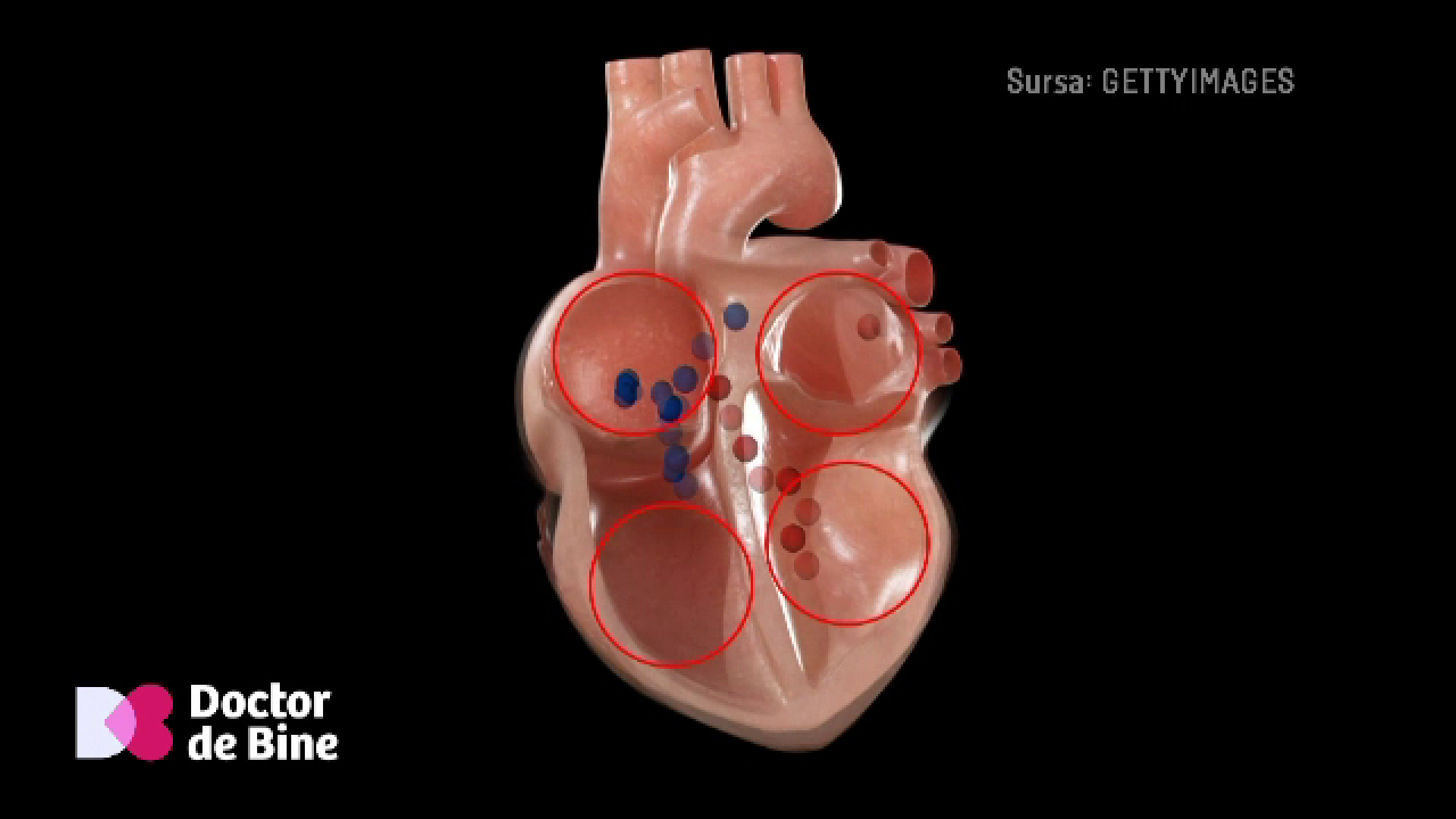 Cum este mișcarea un medicament pentru palpitații. Echilibrul impulsurilor electrice din inimă