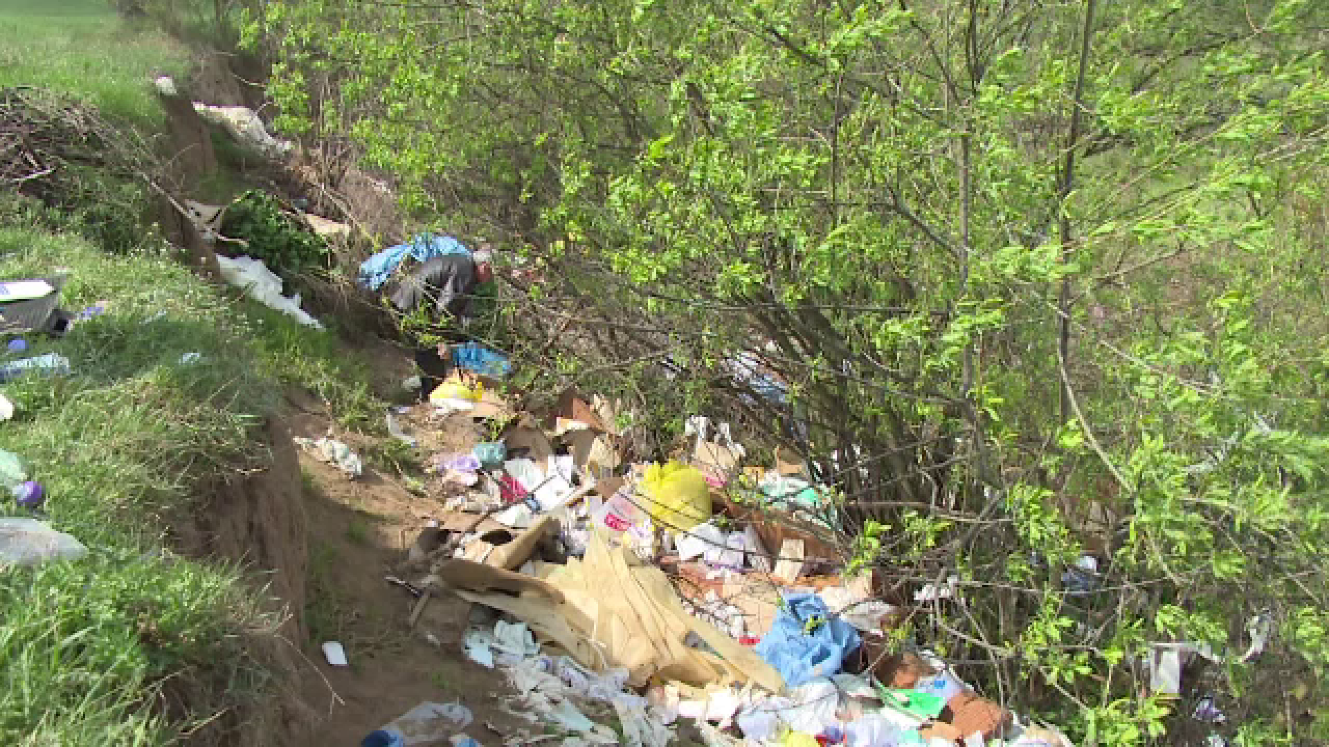 Spitalele sunt obligate să colecteze medicamentele expirate, dar multe nu au amenajat containere speciale pentru populație