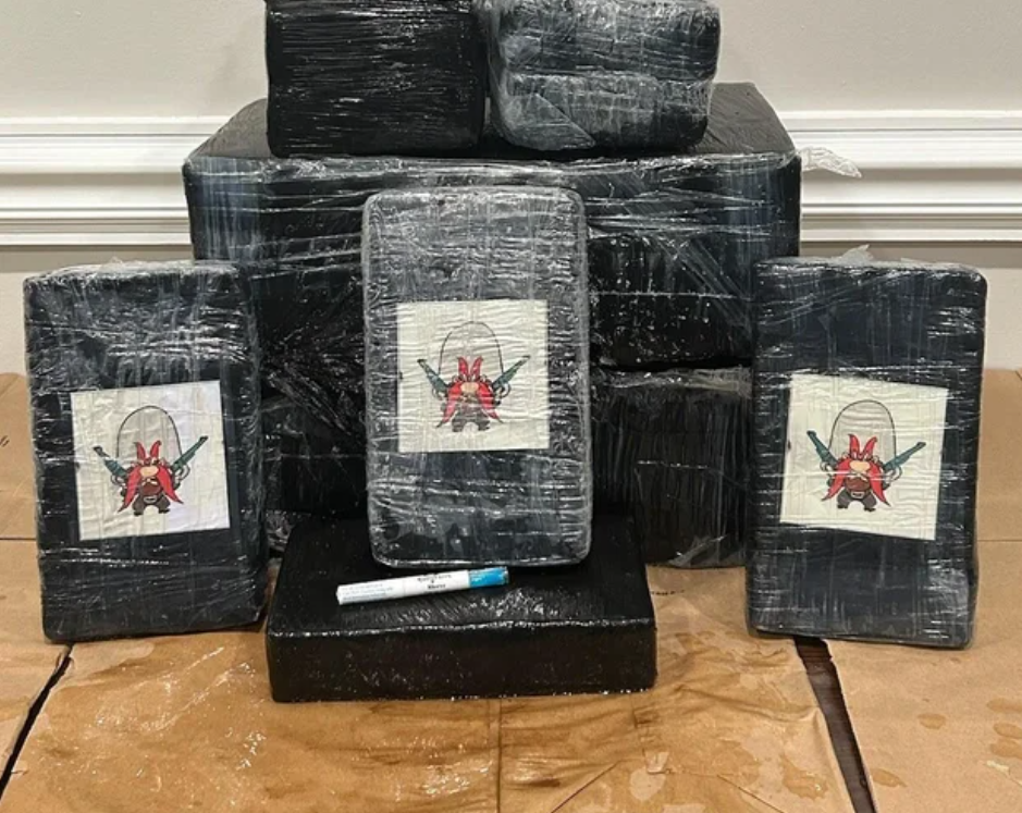 Un turist a făcut o descoperire de 500.000 de dolari în timp ce se plimba pe o plajă din Florida. Ce a observat la mal