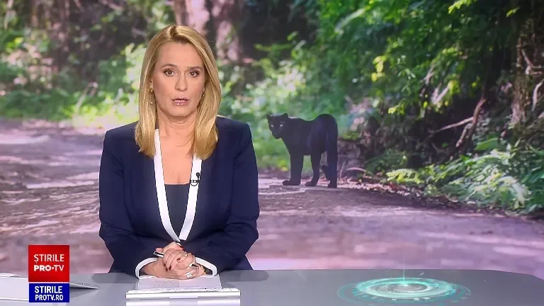 Pantera neagră pierdută din Bulgaria ar fi fost văzută în Teleorman. Doi tineri susțin că au zărit felina