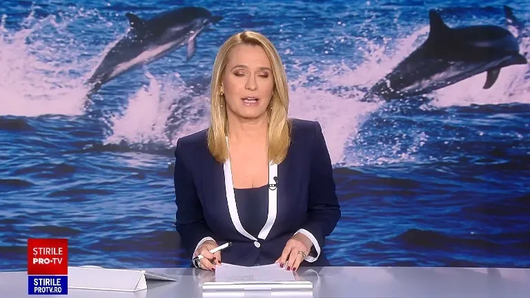 Delfinii vin tot mai aproape de țărmul Mării Negre, în căutarea bancurilor de pești