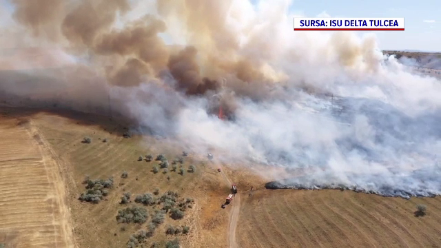 Incendiile de vegetație fac pagube considerabile. Ferme distruse și păduri mistuite în mai multe zone din țară