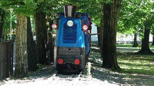 Copiii din Baia Mare au devenit mici artiști. Au pictat trenulețul din Parcul Regina Maria cu animale din pădure