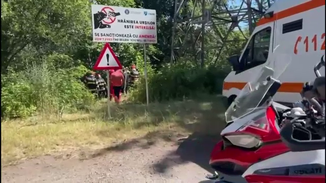 Un motociclist a fost târât în pădure și ucis de urs pe Transfăgărășan. Salvatorii l-au găsit după o oră de căutări