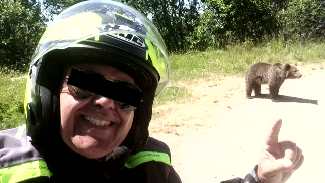 Pedepse dure pentru cei care hrănesc animale sălbatice. „Dacă dai o singură dată mâncare unui urs, l-ai condamnat la moarte”
