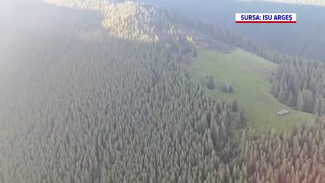 Incendiu de proporții în Argeș. Cinci hectare au ars în întregime. Pompierii s-au luptat din răsputeri să stingă flăcările