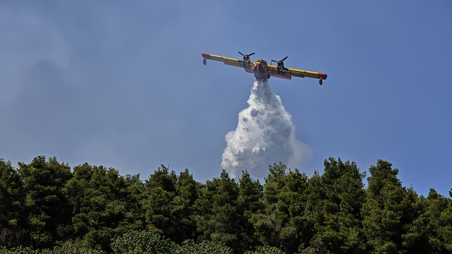 Pompierii din Grecia se luptă cu un nou incendiu de vegetaţie, în Evia, dar fac progrese în Creta. FOTO