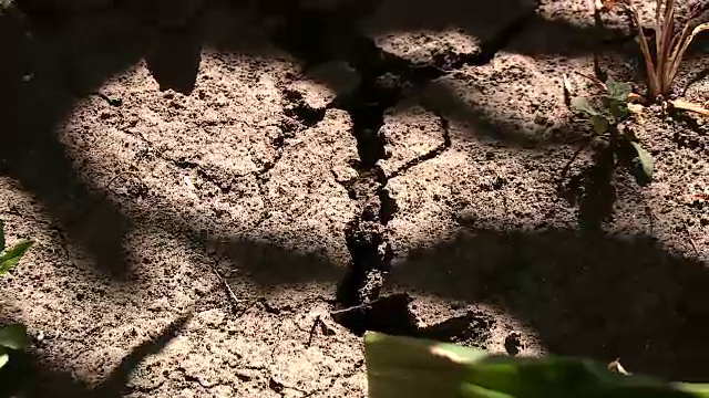 Seceta pedologică afectează mai mult de jumătate din țară, iar sistemele de irigații vechi nu mai fac față