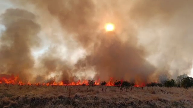 IGSU: Peste 3.000 de hectare de teren afectate de arderile necontrolate, în ultimele trei zile