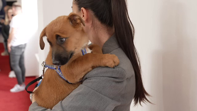 Elevii ar putea avea o nouă materie. Proiectul depus la Ministerul Educației