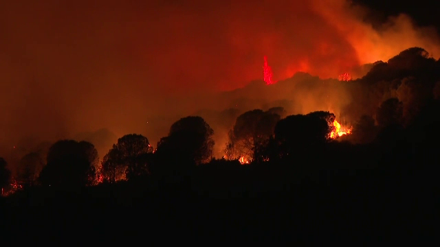 Incendii devastatoare în sudul Europei. Franța, Spania și Italia luptă cu flăcările, Grecia e sub alertă. „Totul este ars”