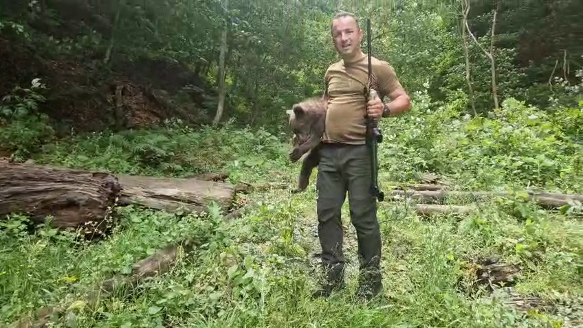 Unul dintre cei trei pui ai ursoaicei împușcate pe Transfăgărășan a fost capturat. Care va fi noua lui casă