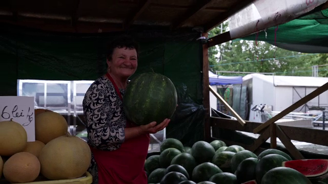 Tradiția pepenilor din Dăbuleni a început să apună. Suprafețele cultivate s-au redus la jumătate