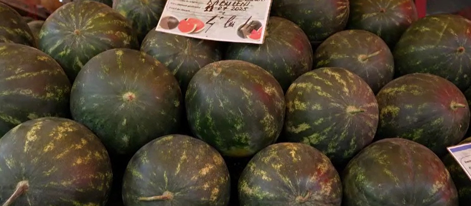 Producția de pepeni a scăzut drastic în ultimii ani din cauza vremii extreme. Fermierii se plâng și de costurile ridicate