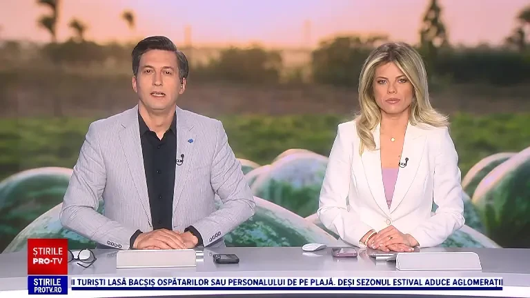 Producția de pepeni a scăzut drastic în ultimii ani din cauza vremii extreme. Fermierii se plâng și de costurile ridicate