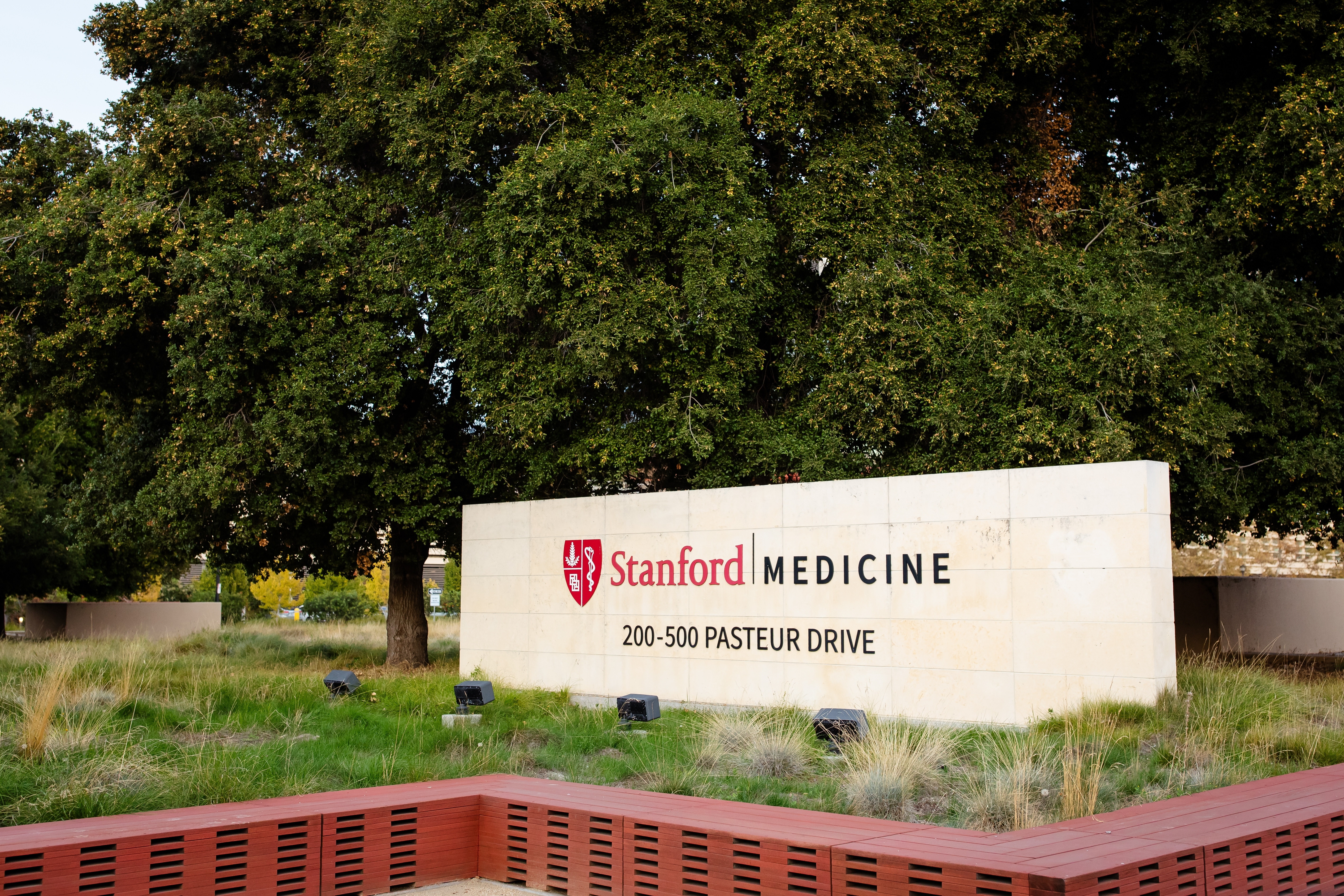 Studiu revoluționar realizat la Stanford. Vârsta organelor poate fi aflată folosind inteligența artificială