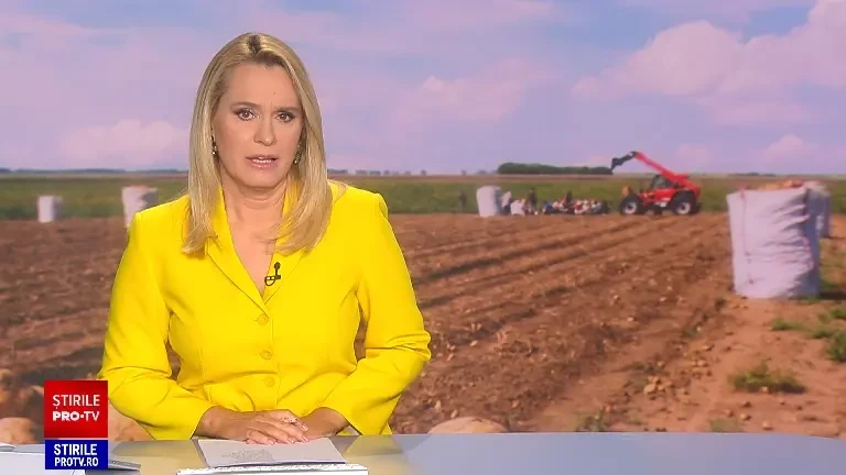 Abandonați de stat și sufocați de importuri, fermierii români lasă cartofii noi în câmp. „Nu avem cui să-i dăm nici degeaba”