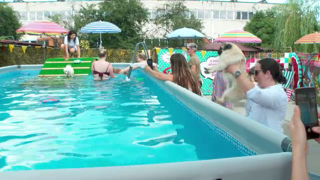 Piscină specială pentru căței, soluție anti-caniculă. Stăpânii își răcoresc animalele de companie în zilele toride