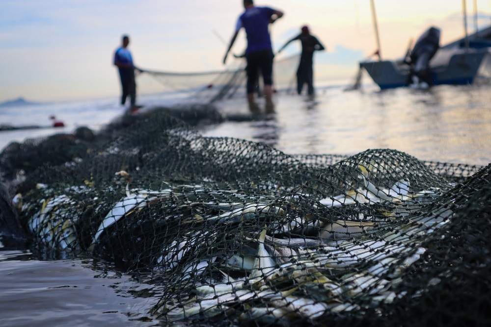 Ce au descoperit polițiștii de frontieră în plasele unor pescari, în Tulcea | FOTO