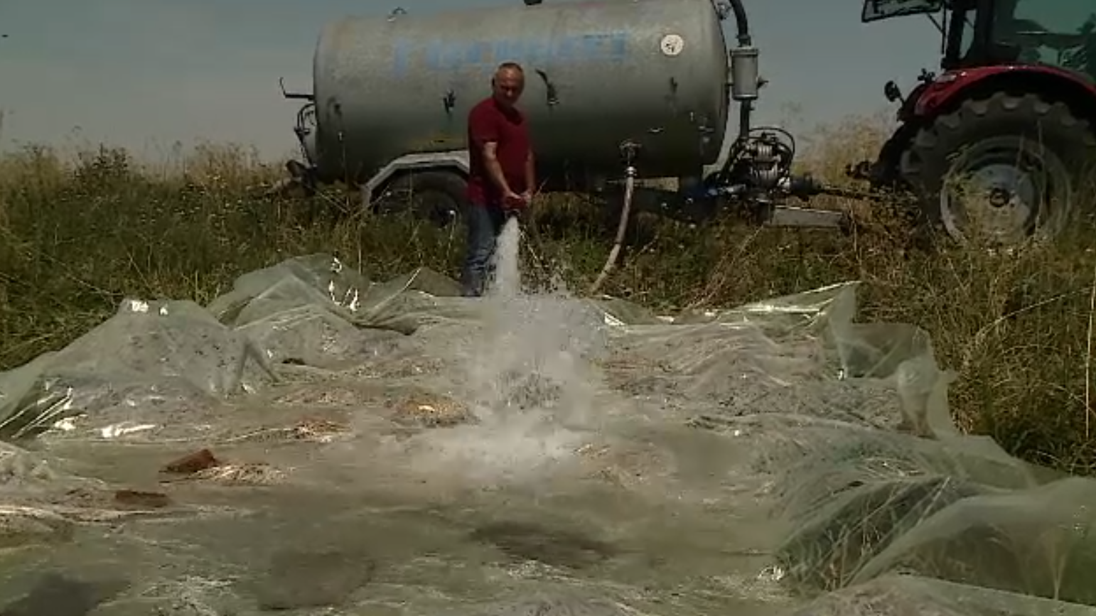 Temperaturile extreme fac prăpăd în rândul animalelor. În Dolj, exemplare din mai multe specii au fost găsite moarte