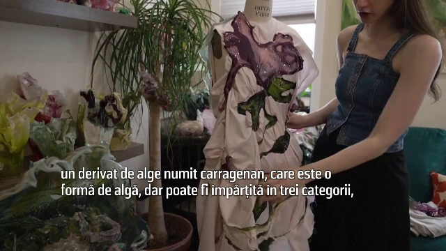 Haine din porumb și alge, alternativa „verde” la fast fashion: „Acești oameni sunt pe cale să descopere ceva important”
