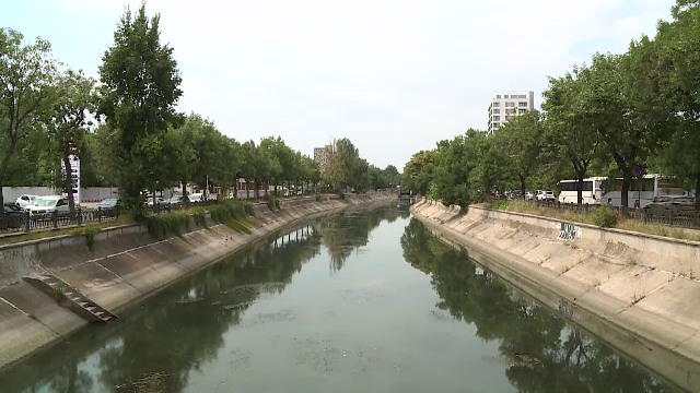 Râul Dâmbovița, sufocat de alge. Canicula a transformat apa din Capitală într-un pericol pentru oameni. „E dezastruos”