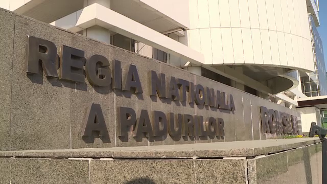 Guvernul a aprobat cadrul legal pentru reorganizarea Romsilva. Care sunt noile măsuri ce vor intra în vigoare