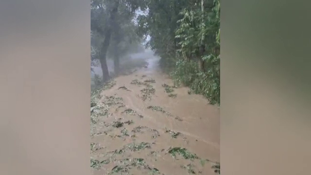 Cod roșu de vijelii în 2 județe din România. Rafalele puternice au făcut dezastre pe străzi și gospodării