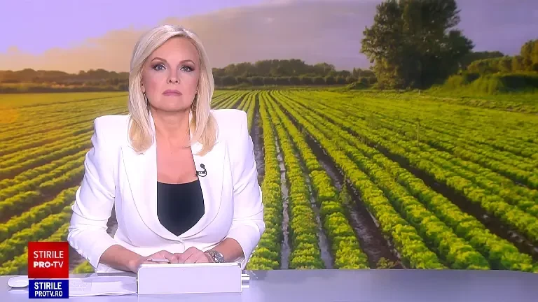 Revoltă în Dâmbovița. Un fermier a fost amendat că a udat varza cu apă din râu și „a pus în pericol Capitala”